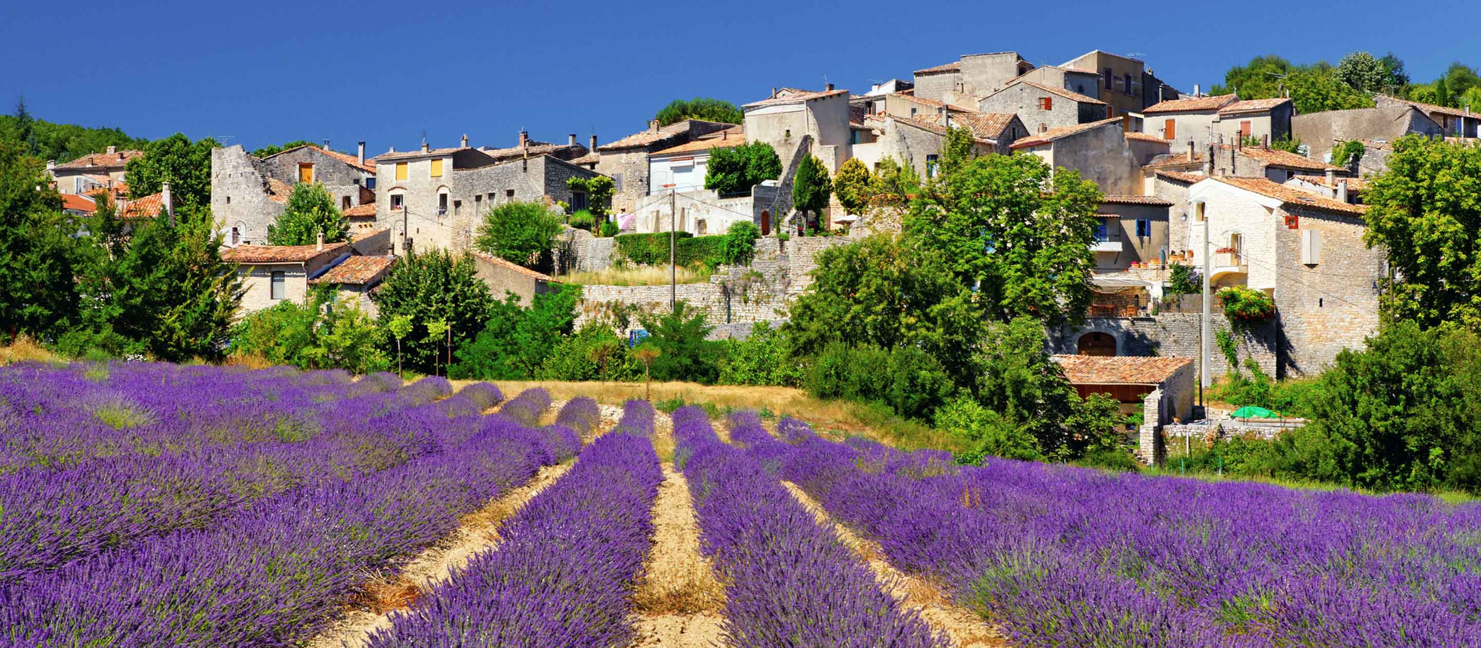 Taste Of Provence Bicycling Tour Ciclismo Classico taste-of-provence-bicycling-tour-ciclismo-classico
