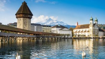 Chapel Bridge and swans in Switzerland