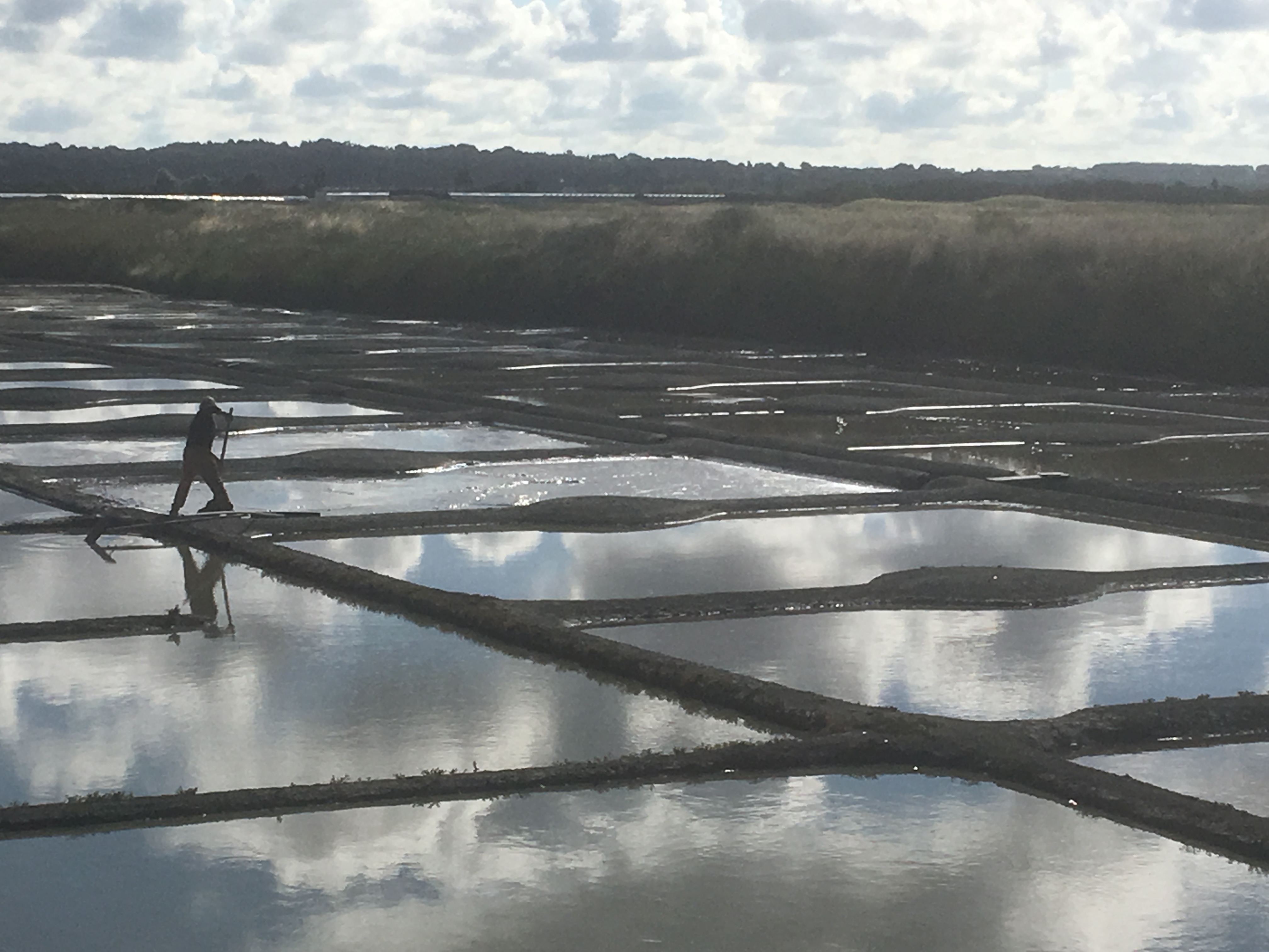 A person walks along the edges of rectangular salt evaporation ponds, with water reflecting the cloudy sky above—a serene scene reminiscent of landscapes explored on italy bike tours.