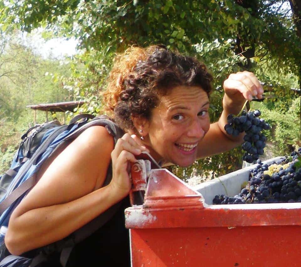 A woman with a backpack smiles while holding a bunch of grapes next to a red container filled with harvested grapes outdoors, capturing the joy of scenic bike tours in Italy.