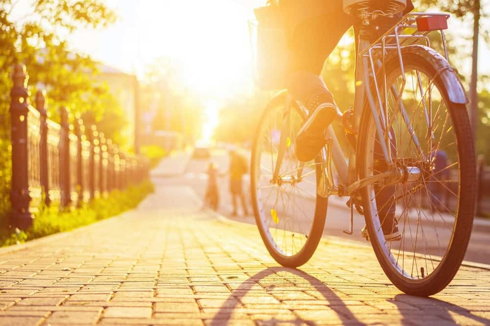 A person enjoys a scenic bike tour, riding a bicycle on a sunlit, paved path lined with trees and a fence. The photo, taken from behind at a low angle during sunset, captures the tranquil beauty of cycling tours.