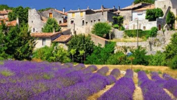 Picturesque Italian hillside village surrounded by lush greenery and vibrant lavender fields, perfect for scenic Italy bike tours with Ciclismo Classico.