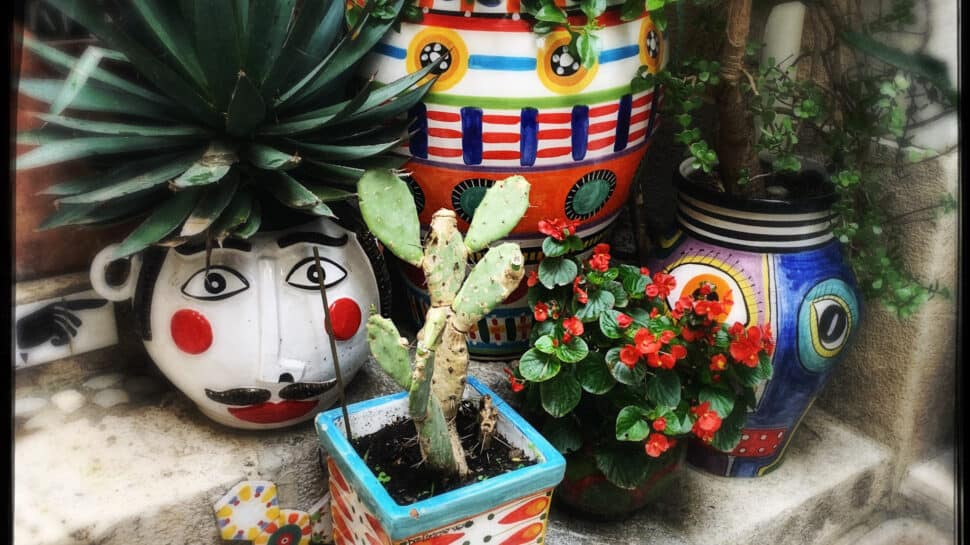 Colorful Italian ceramic pots with cacti and succulents, decorative garden accents, vibrant traditional pottery, perfect for Italy bike tours and outdoor decor.