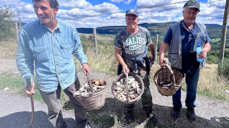 Colorful scenic view of three men with baskets of freshly picked mushrooms during Italy bike tours in a lush countryside setting.
