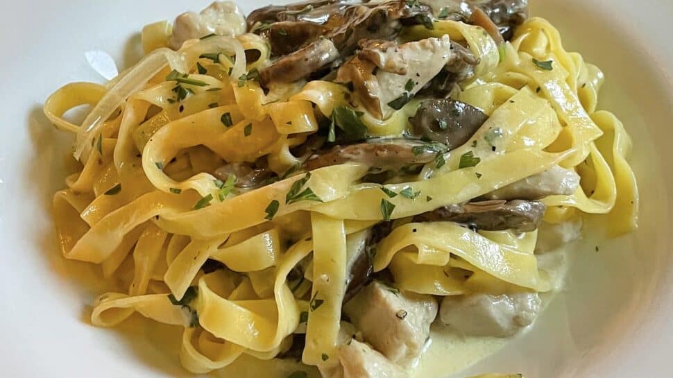 A plate of creamy mushroom and chicken fettuccine pasta garnished with herbs, served in a white bowl.